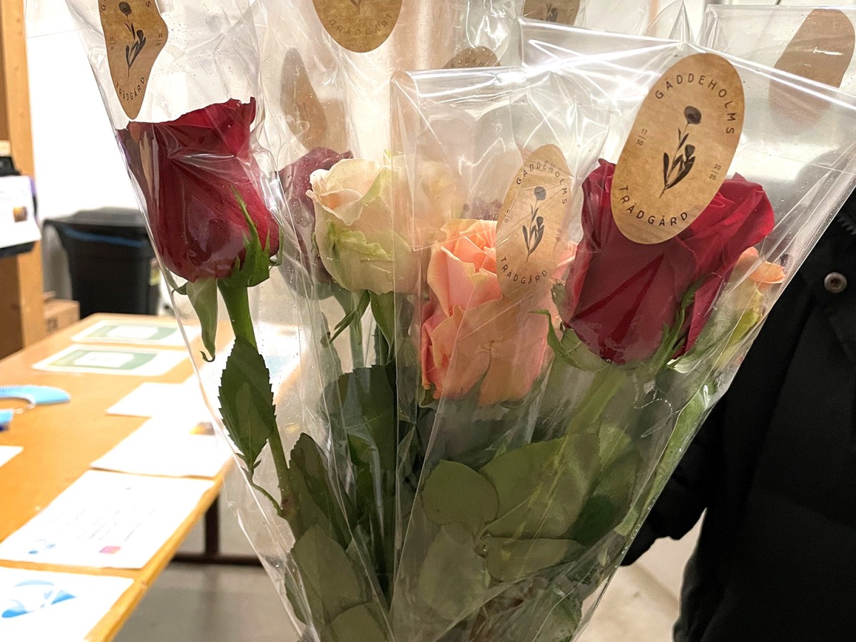 Efter vår system 1-tävling&nbsp;Mälartrofén