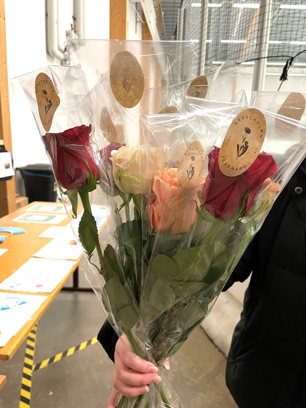 Efter vår system 1-tävling&nbsp;Mälartrofén